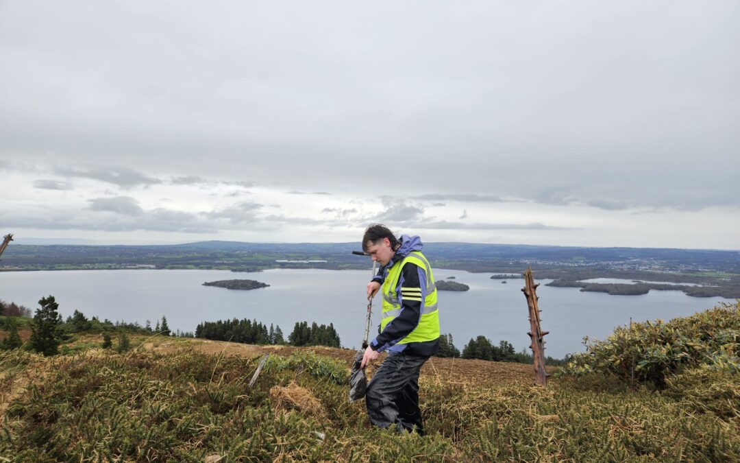 From Nevada Gold to Irish Soil: Joe’s Journey on the Tellus Geochemistry Project and Leading a Field Geology Team.